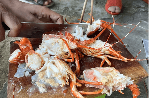 Tôm hùm chết được bơm thạch rau câu để thành đồ tươi. Ảnh: Chi cục Quản lý thị trường Phú Yên